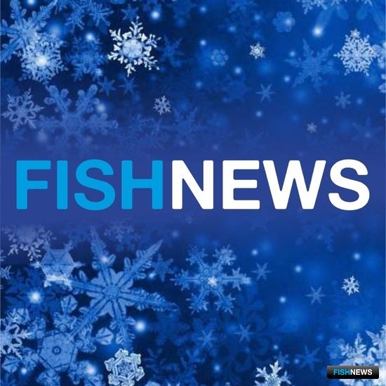 С новыми силами — в новый год! С новыми силами — в новый год!