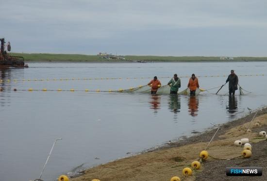 Камчатка обновит перечень рыболовных участков Камчатка обновит перечень рыболовных участков