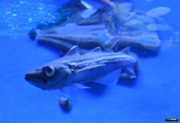 Новый год обещает непростые задачи