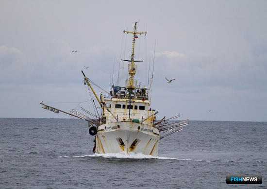 Ученые ТИНРО расскажут об исследованиях за 2021 год Ученые ТИНРО расскажут об исследованиях за 2021 год