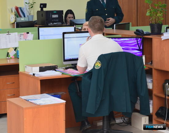 Таможня готова принимать претензии в электронном виде