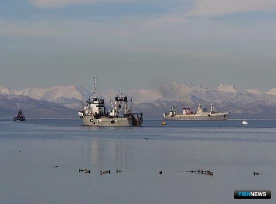 Локдауны не помешали рыбным рекордам Локдауны не помешали рыбным рекордам