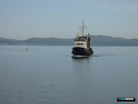 ВАРПЭ предлагает тщательно подойти к вопросам цифровизации отрасли ВАРПЭ предлагает тщательно подойти к вопросам цифровизации отрасли