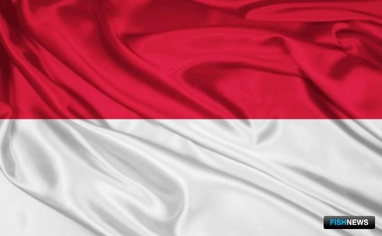 Индонезийская рыба &laquo;встает на крыло&raquo;