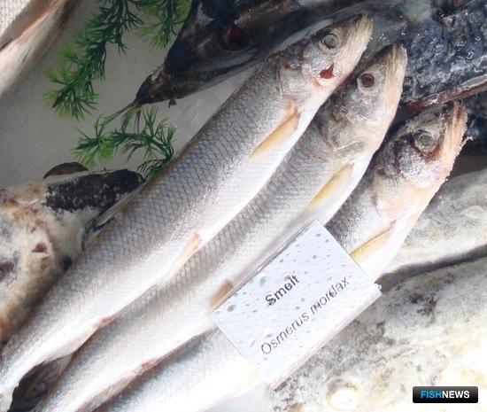 Суд в Хабаровском крае разберется с делом о подмене корюшки Суд в Хабаровском крае разберется с делом о подмене корюшки