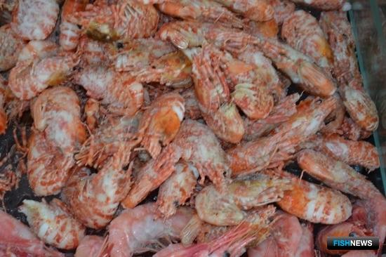 Рыбаков приглашают за квотами на креветку Рыбаков приглашают за квотами на креветку