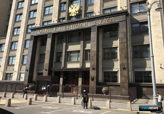 Налоги и цифровизация рыболовства &mdash; в приоритете у законодателей