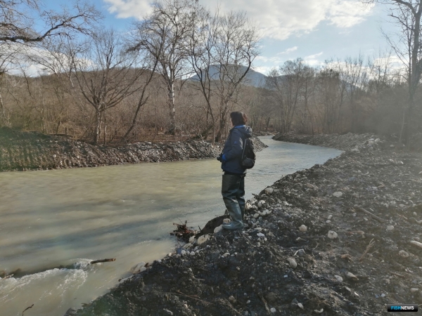 Остался без дома: специалисты заявили о проблеме реликтового краба