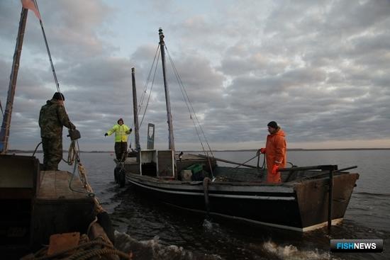 Рыболовству на Западном бассейне приготовили новые поправки