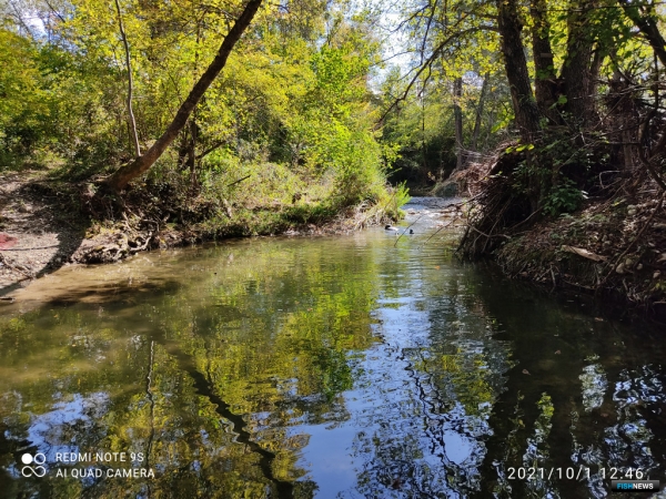 Остался без дома: специалисты заявили о проблеме реликтового краба