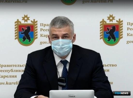 Аквакультура севера Карелии распробовала мидий