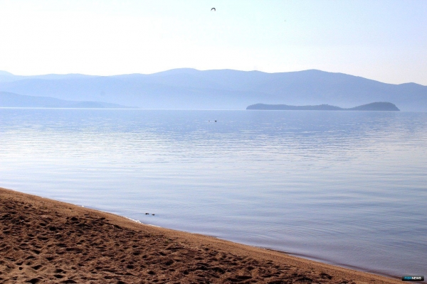 Байкальская рыба проходит диспансеризацию