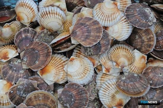 За урожаями с &laquo;морских огородов&raquo; закрепят лицензию