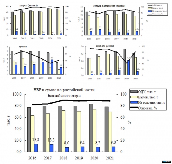 Российские рыбаки показывают стабильный результат на Балтике