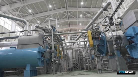 ЮКРК реализовал проект рыбомучного завода на Кунашире