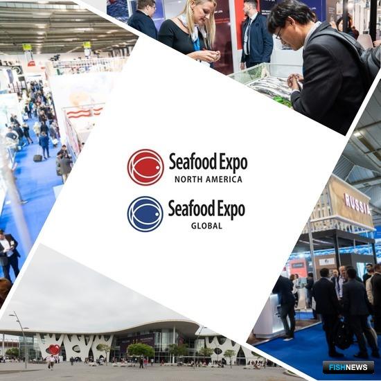 Российская рыба собирается в Барселону Российская рыба собирается в Барселону