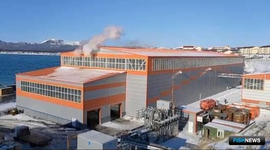 ЮКРК реализовал проект рыбомучного завода на Кунашире