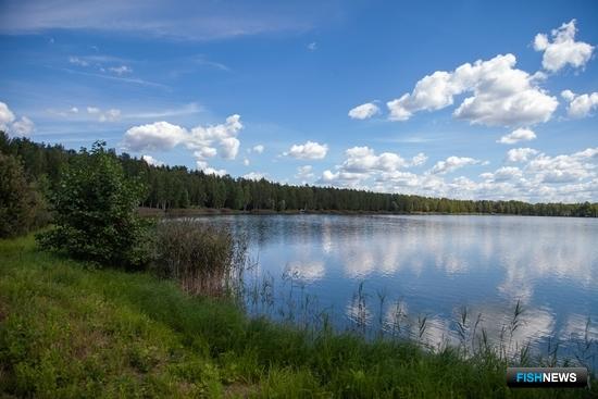 Правительство обновило правила предоставления водоемов в пользование Правительство обновило правила предоставления водоемов в пользование