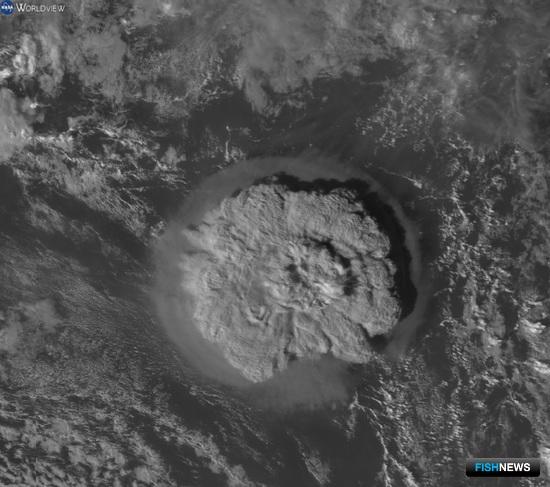 Японским рыбопромышленникам насолила волна из Полинезии