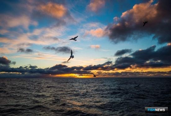 Росрыболовство согласно со сложностью вопроса об увязке судов и заводов Росрыболовство согласно со сложностью вопроса об увязке судов и заводов