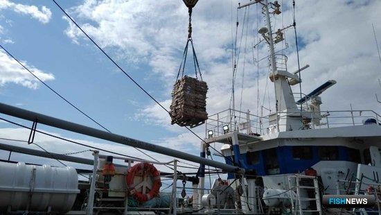 Поморье подсчитало годовые уловы и рыбные урожаи