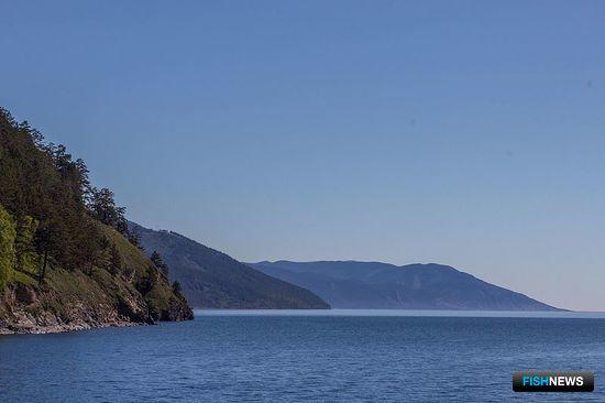 Законопроект для помощи Байкалу вновь скорректировали Законопроект для помощи Байкалу вновь скорректировали