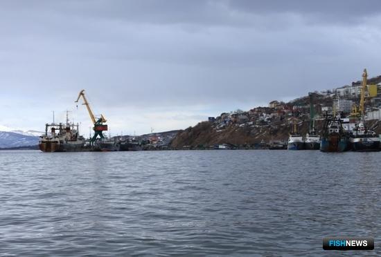 Камчатка рассчитывает на рост поступлений от рыбной отрасли