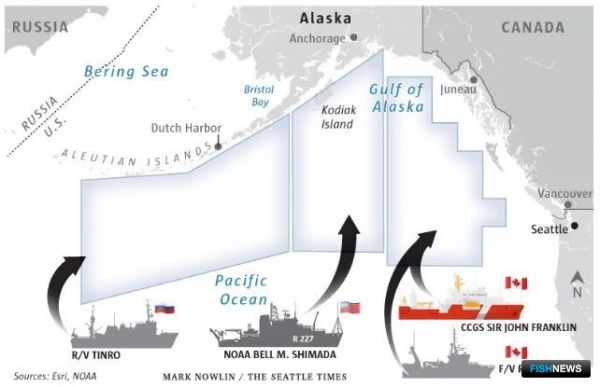 Зимующих лососей навестит международная экспедиция Зимующих лососей навестит международная экспедиция