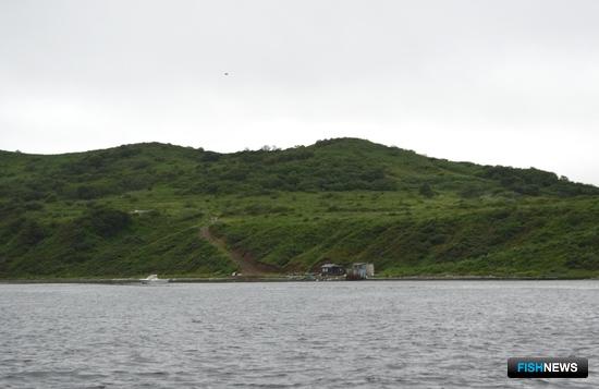 На острове Русский может появиться ТОР