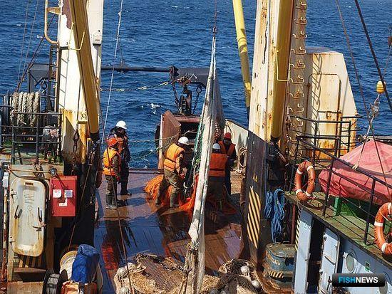 СахНИРО подведет итоги исследований 2021 года