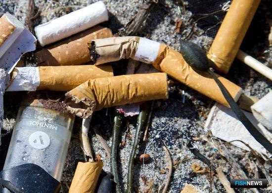 ООН обеспокоена вредом природе от окурков