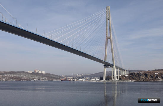 Бухты Приморья ждут &laquo;Генеральной уборки&raquo;