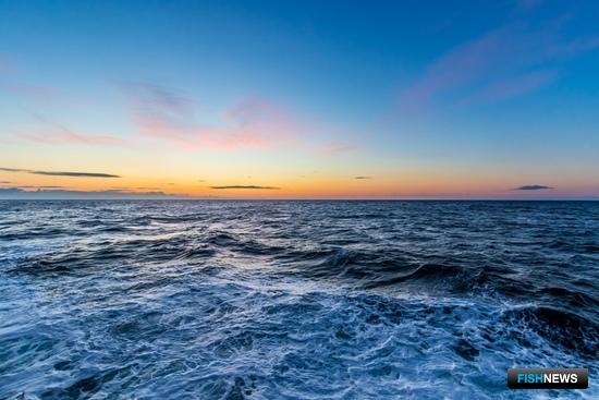 АСРФ призвала регулятора подумать над мерами сбережения ресурса