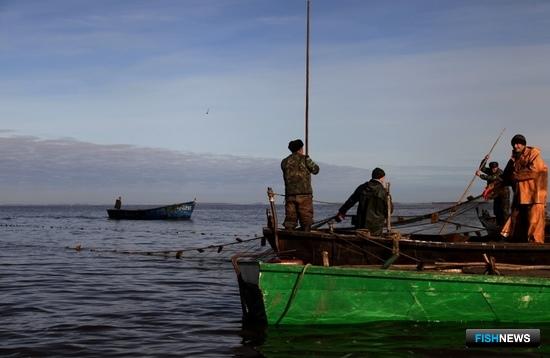 Власти планируют разобраться с вопросами по участкам для промысла Власти планируют разобраться с вопросами по участкам для промысла