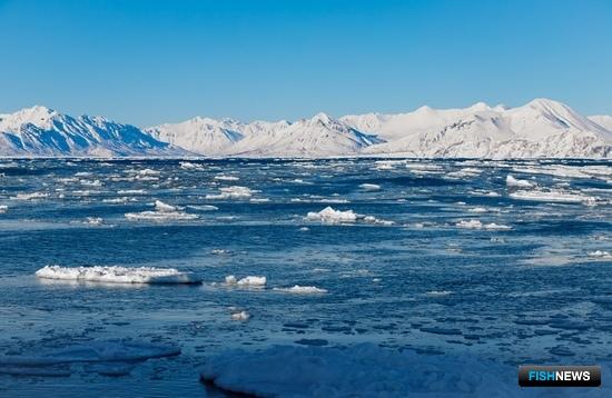 Россия запустит научно-техническую программу в сфере изменений климата