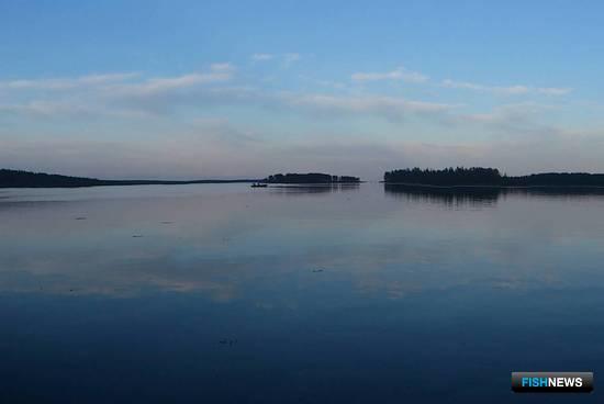 Марифермерам предлагают поторговаться за участок в Белом море Марифермерам предлагают поторговаться за участок в Белом море