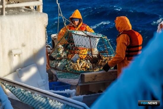 Краболовам пропишут новые правила