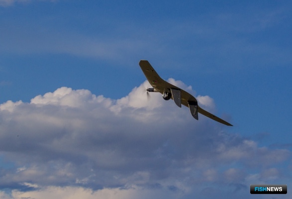 &laquo;Воздушные войска&raquo; Главрыбвода помогают ловить браконьеров