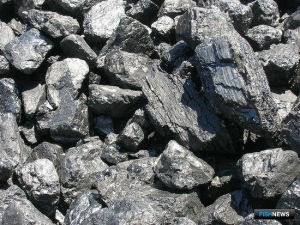 Жители Приморья помогли выявить нарушения в угольном порту