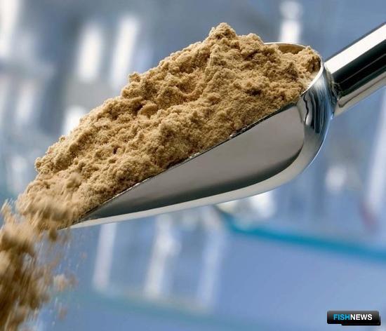 Поставщикам рыбной муки напомнили про перерегистрацию