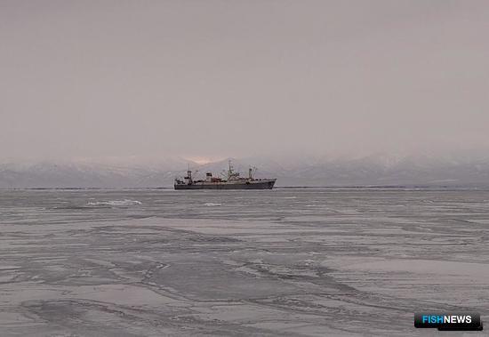 Рыбаки наращивают темпы вылова Рыбаки наращивают темпы вылова