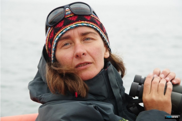 Экологи составят план защиты &laquo;коренных&raquo; китов Охотоморья