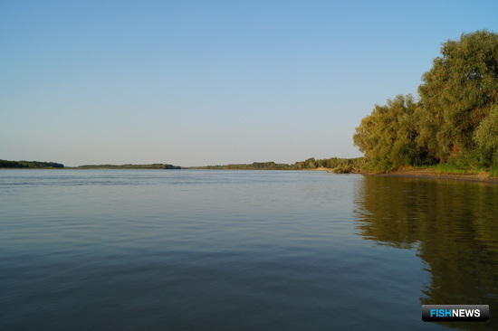 Рыбопромышленникам предлагают участки в Западной Сибири Рыбопромышленникам предлагают участки в Западной Сибири