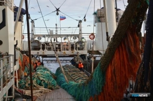 Отечественный вылов остается в плюсе