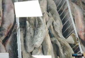 ФАС взяла стоимость продуктов на особый контроль