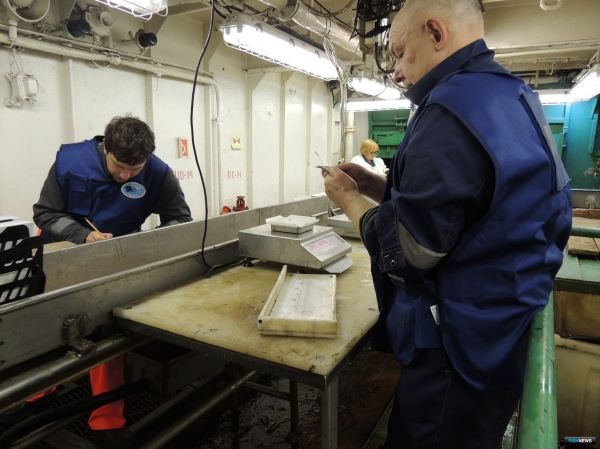 Наука актуализировала данные о ресурсах Баренцева моря