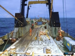 Наука актуализировала данные о ресурсах Баренцева моря