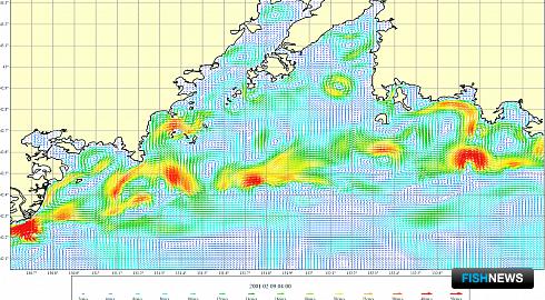 Дальневосточные моря смоделируют на компьютере