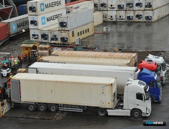 Для международных грузоперевозок запустили горячую линию