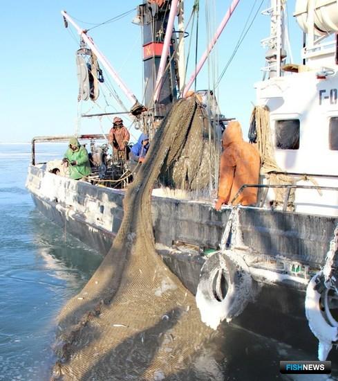 Рыбаки проводили зиму с прибавкой